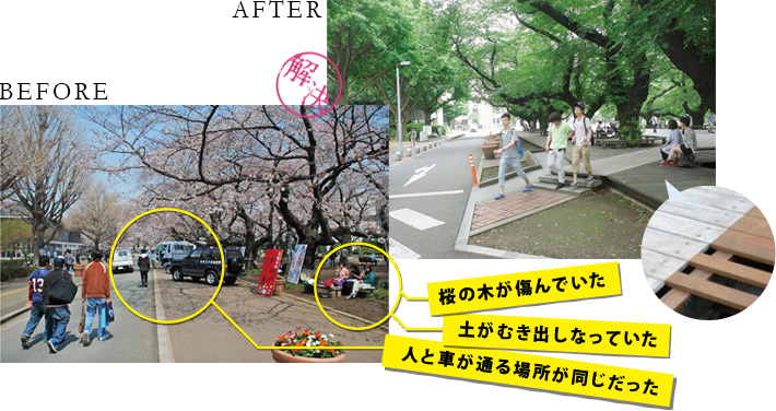 桜の木が傷んでいた　土がむき出しになっていた　人と車が通る場所が同じだった　解決