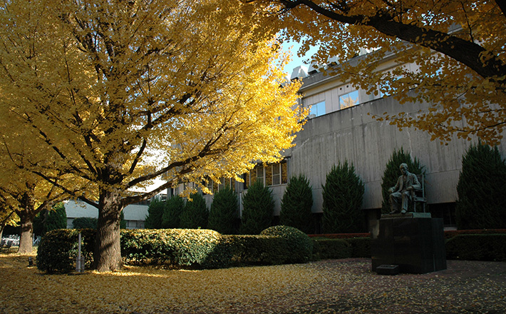 秋には、キャンパスが黄色と紅に染まります。写真の銅像は、本学の設立に尽力した手島精一先生像。